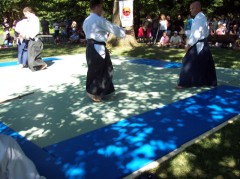 Aikido 052 